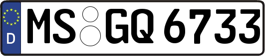 MS-GQ6733