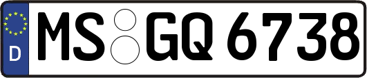 MS-GQ6738