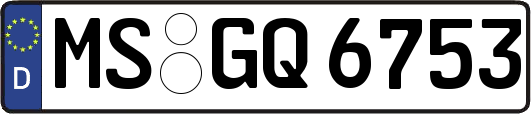 MS-GQ6753