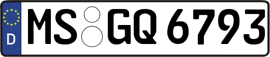 MS-GQ6793