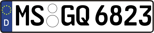MS-GQ6823