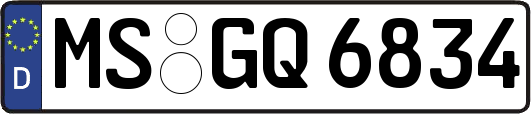 MS-GQ6834