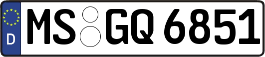 MS-GQ6851