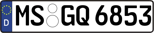 MS-GQ6853