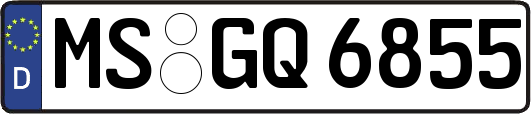 MS-GQ6855