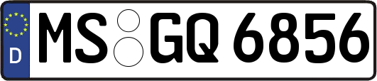 MS-GQ6856