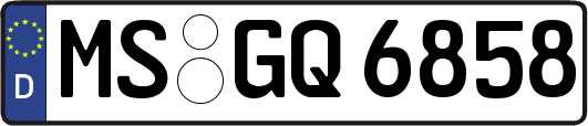 MS-GQ6858