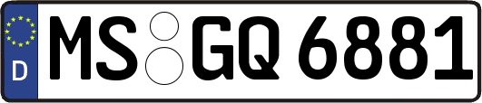 MS-GQ6881