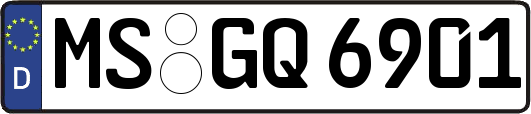 MS-GQ6901