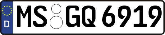 MS-GQ6919