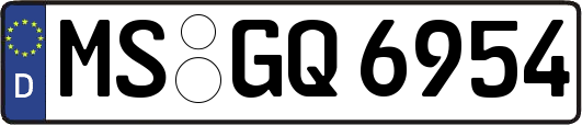 MS-GQ6954