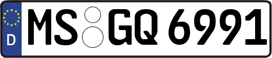 MS-GQ6991