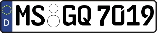 MS-GQ7019