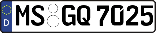MS-GQ7025