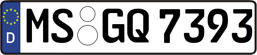 MS-GQ7393