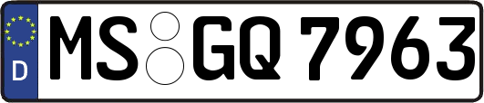 MS-GQ7963