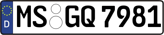 MS-GQ7981