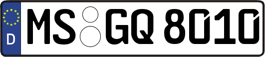 MS-GQ8010