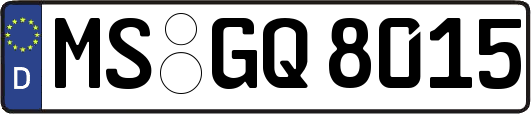MS-GQ8015