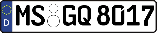 MS-GQ8017