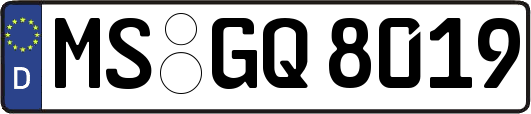 MS-GQ8019