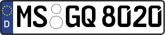 MS-GQ8020