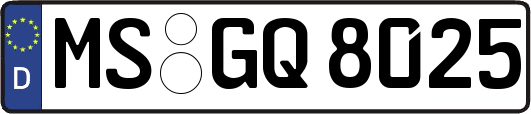 MS-GQ8025