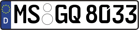 MS-GQ8033