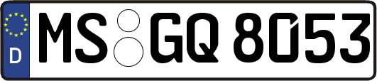 MS-GQ8053