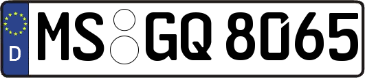 MS-GQ8065