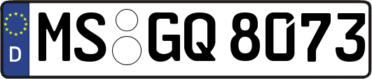 MS-GQ8073