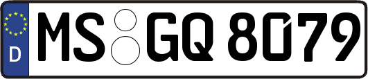 MS-GQ8079