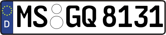 MS-GQ8131