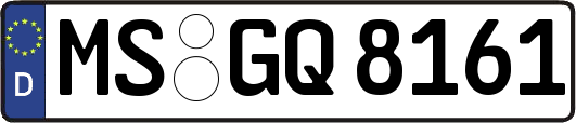 MS-GQ8161