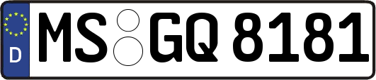 MS-GQ8181