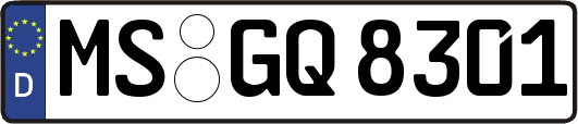MS-GQ8301