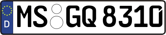 MS-GQ8310
