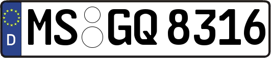 MS-GQ8316