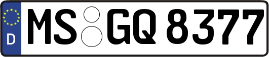 MS-GQ8377