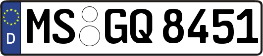 MS-GQ8451