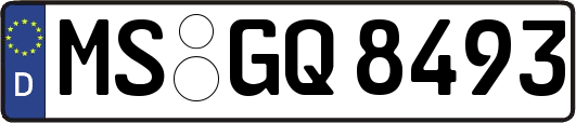 MS-GQ8493