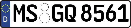 MS-GQ8561