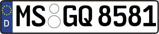 MS-GQ8581