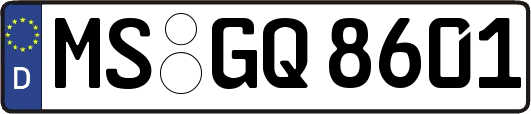 MS-GQ8601