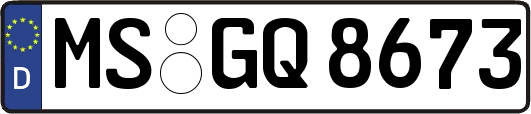 MS-GQ8673