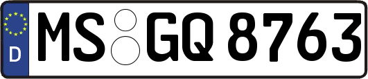 MS-GQ8763