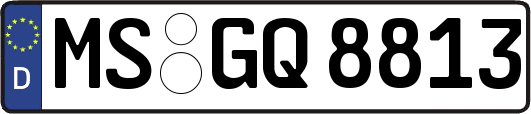 MS-GQ8813