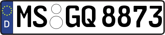 MS-GQ8873