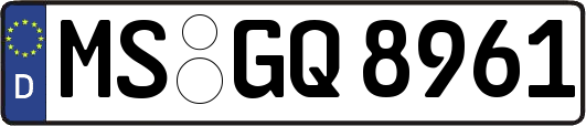 MS-GQ8961