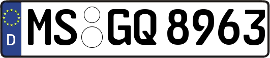 MS-GQ8963